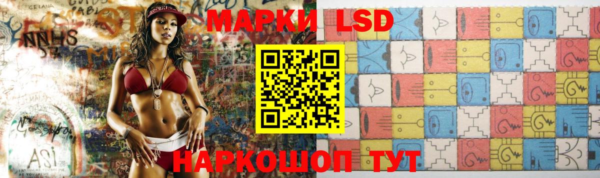 LSD-25 экстази кислота  LSD-25 экстази кислота  Бердск  Вход с VPN 